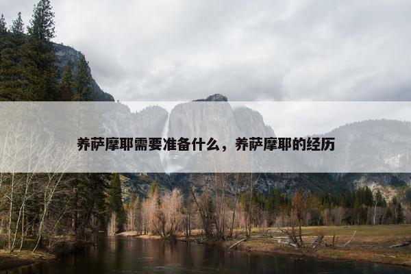 养萨摩耶需要准备什么，养萨摩耶的经历