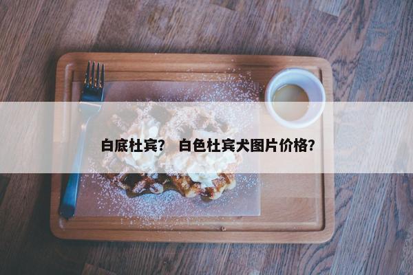 白底杜宾？ 白色杜宾犬图片价格？
