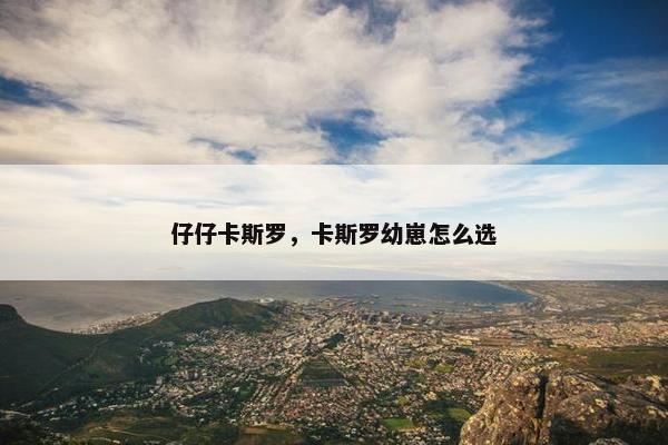 仔仔卡斯罗，卡斯罗幼崽怎么选