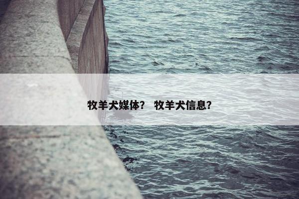 牧羊犬媒体？ 牧羊犬信息？