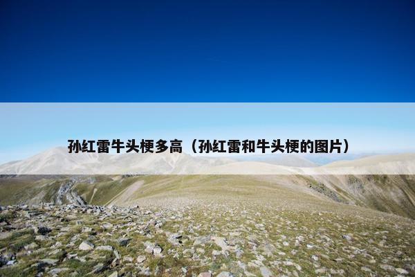 孙红雷牛头梗多高（孙红雷和牛头梗的图片）