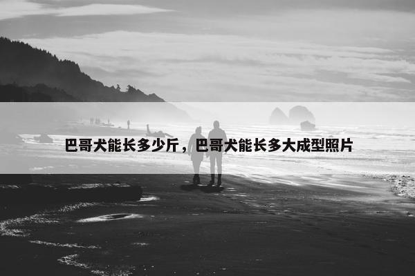 巴哥犬能长多少斤，巴哥犬能长多大成型照片
