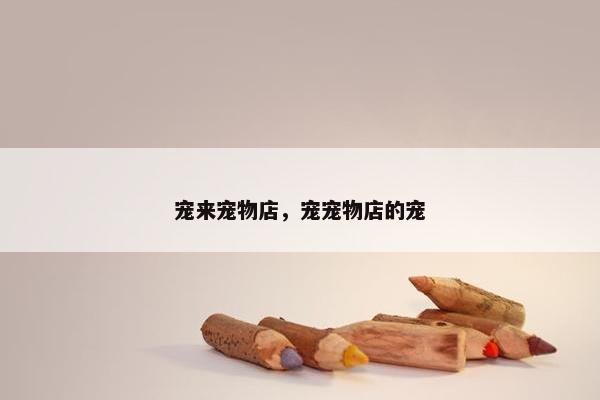 宠来宠物店，宠宠物店的宠