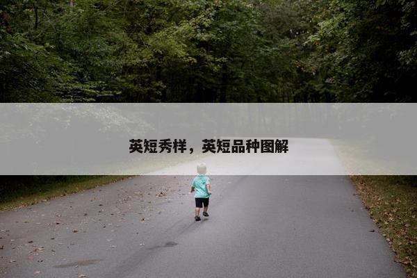 英短秀样，英短品种图解