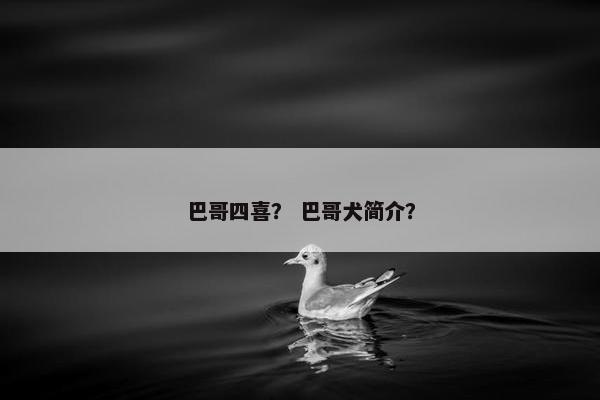 巴哥四喜？ 巴哥犬简介？
