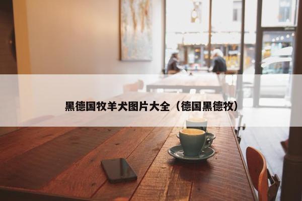 黑德国牧羊犬图片大全（德国黑德牧）
