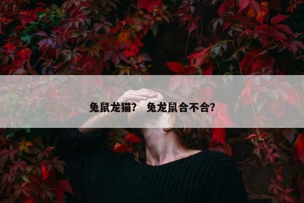 兔鼠龙猫？ 兔龙鼠合不合？