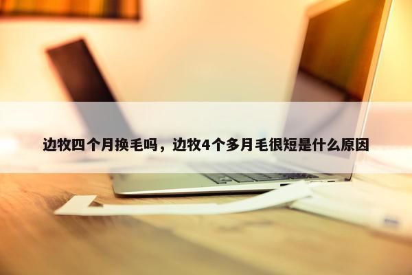 边牧四个月换毛吗，边牧4个多月毛很短是什么原因