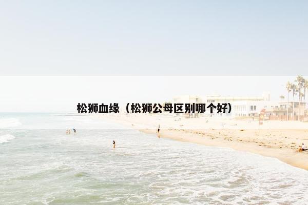 松狮血缘（松狮公母区别哪个好）