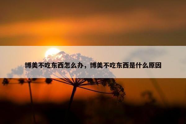 博美不吃东西怎么办，博美不吃东西是什么原因