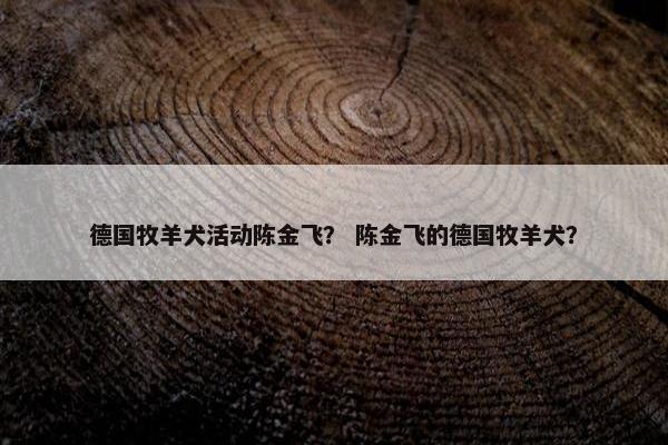 德国牧羊犬活动陈金飞？ 陈金飞的德国牧羊犬？