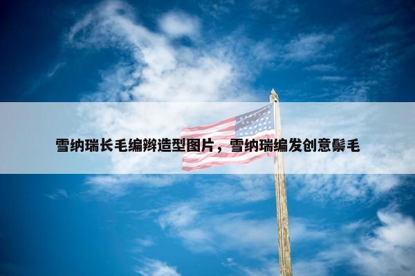 雪纳瑞长毛编辫造型图片，雪纳瑞编发创意鬃毛