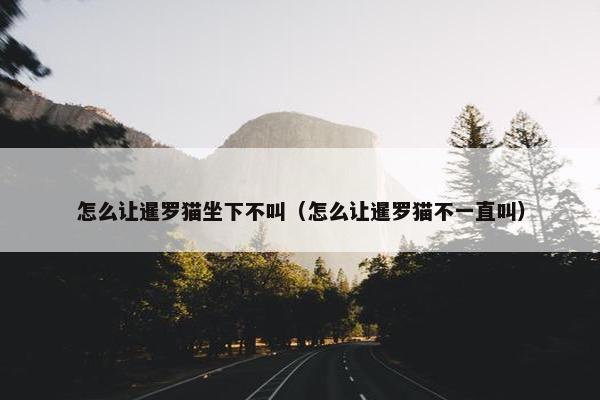 怎么让暹罗猫坐下不叫（怎么让暹罗猫不一直叫）