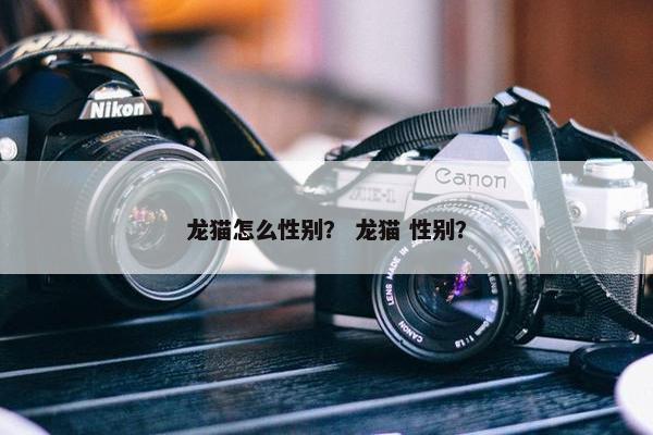 龙猫怎么性别？ 龙猫 性别？