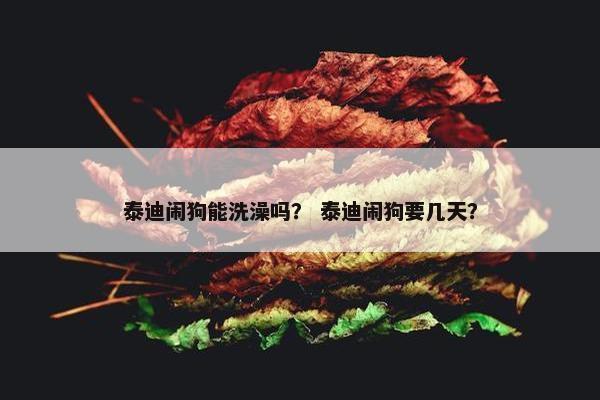 泰迪闹狗能洗澡吗？ 泰迪闹狗要几天？