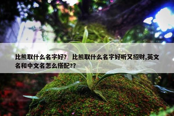 比熊取什么名字好？ 比熊取什么名字好听又招财,英文名和中文名怎么搭配?？