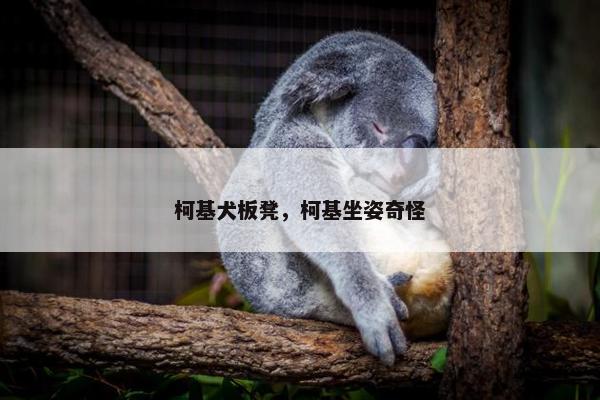 板凳