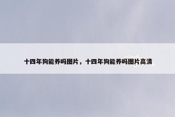 十四年狗能养吗图片，十四年狗能养吗图片高清