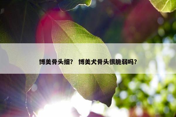 博美骨头细？ 博美犬骨头很脆弱吗？