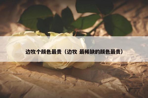 边牧个颜色最贵（边牧 最稀缺的颜色最贵）