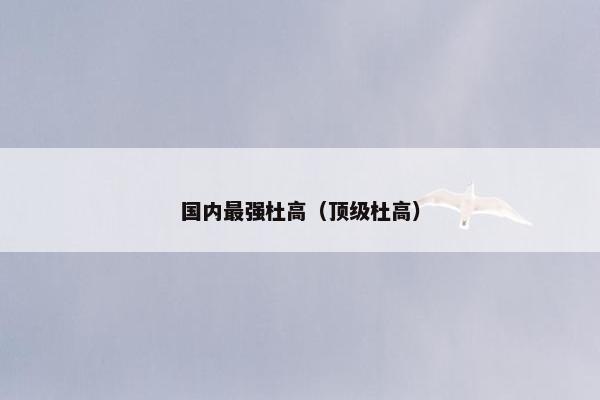 国内最强杜高(顶级杜高)