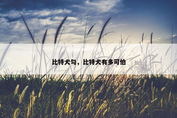 比特犬勾，比特犬有多可怕