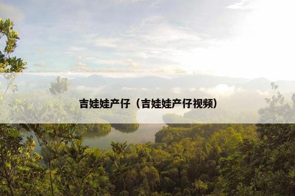 吉娃娃产仔（吉娃娃产仔视频）