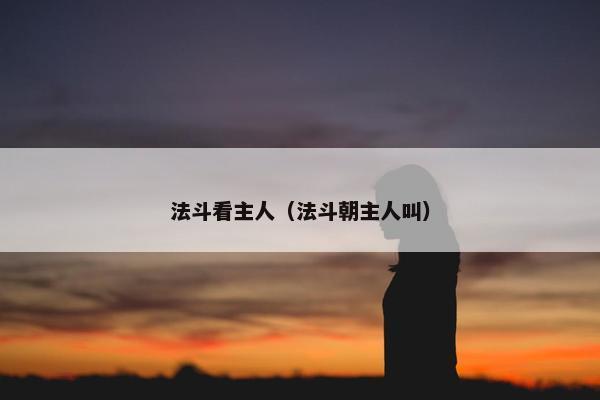 法斗看主人（法斗朝主人叫）