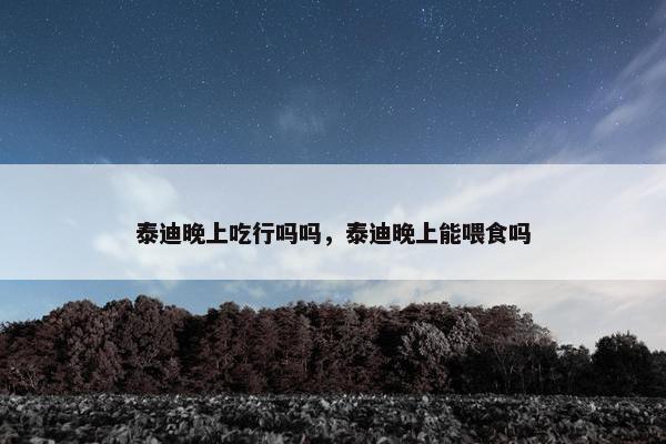 泰迪晚上吃行吗吗，泰迪晚上能喂食吗
