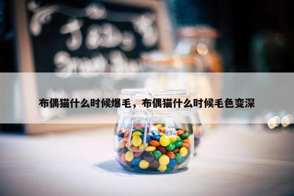 布偶猫什么时候爆毛，布偶猫什么时候毛色变深