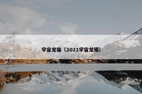 宇宙龙猫（2021宇宙龙猎）