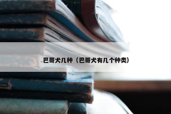 巴哥犬几种（巴哥犬有几个种类）