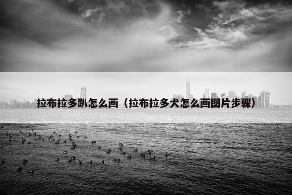 拉布拉多趴怎么画（拉布拉多犬怎么画图片步骤）