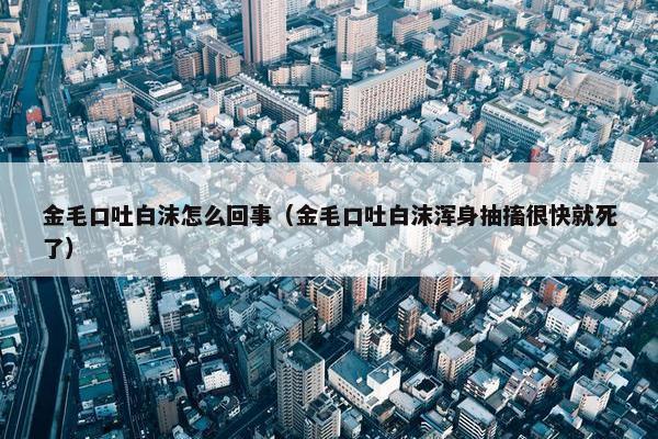 金毛口吐白沫怎么回事（金毛口吐白沫浑身抽搐很快就死了）