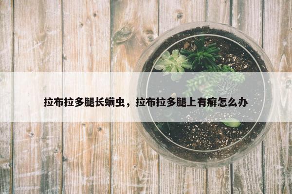 拉布拉多腿长螨虫，拉布拉多腿上有癣怎么办