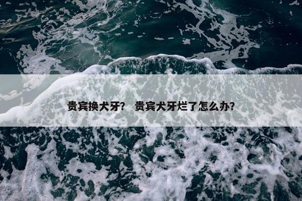 贵宾换犬牙？ 贵宾犬牙烂了怎么办？