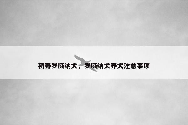 初养罗威纳犬，罗威纳犬养犬注意事项