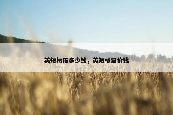 英短橘猫多少钱，英短橘猫价钱