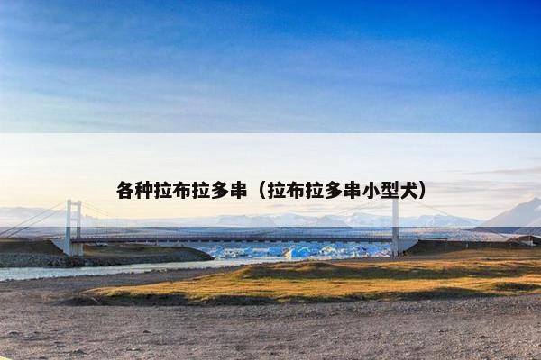 各种拉布拉多串（拉布拉多串小型犬）
