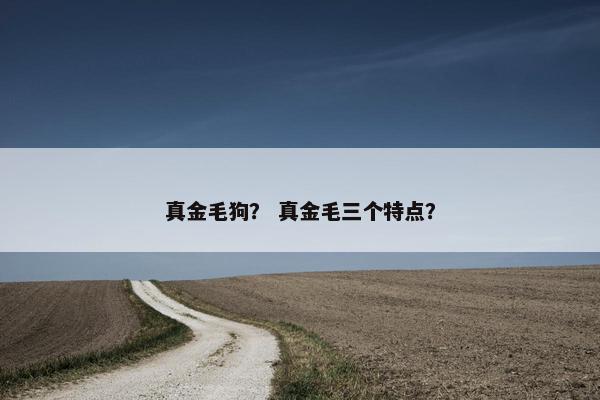 真金毛狗？ 真金毛三个特点？