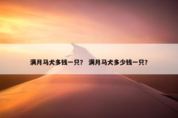 满月马犬多钱一只？ 满月马犬多少钱一只？
