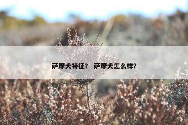 萨摩犬特征？ 萨摩犬怎么样？