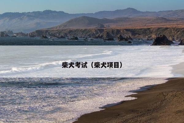 柴犬考试(柴犬项目)