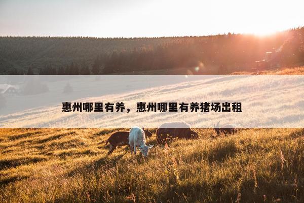 惠州哪里有养，惠州哪里有养猪场出租