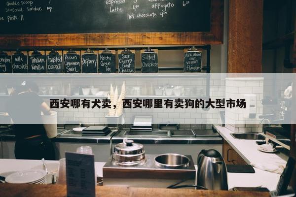西安哪有犬卖，西安哪里有卖狗的大型市场