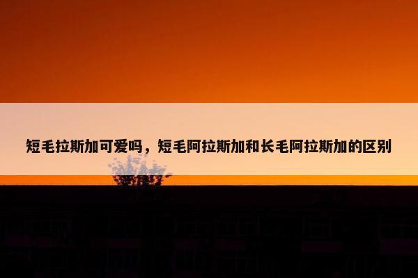短毛拉斯加可爱吗，短毛阿拉斯加和长毛阿拉斯加的区别