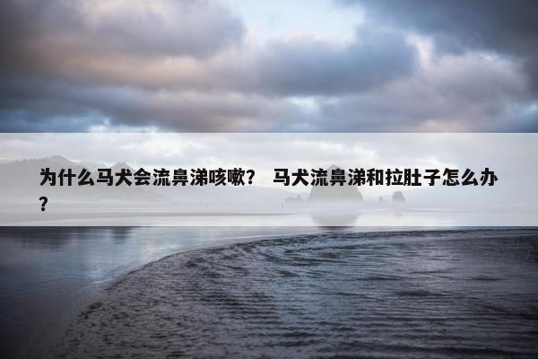 为什么马犬会流鼻涕咳嗽？ 马犬流鼻涕和拉肚子怎么办？