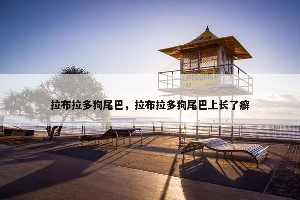 拉布拉多狗尾巴，拉布拉多狗尾巴上长了癣