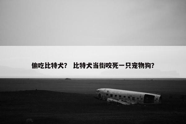 偷吃比特犬? 比特犬当街咬死一只宠物狗?