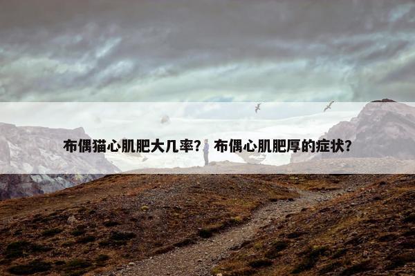 布偶猫心肌肥大几率？ 布偶心肌肥厚的症状？
